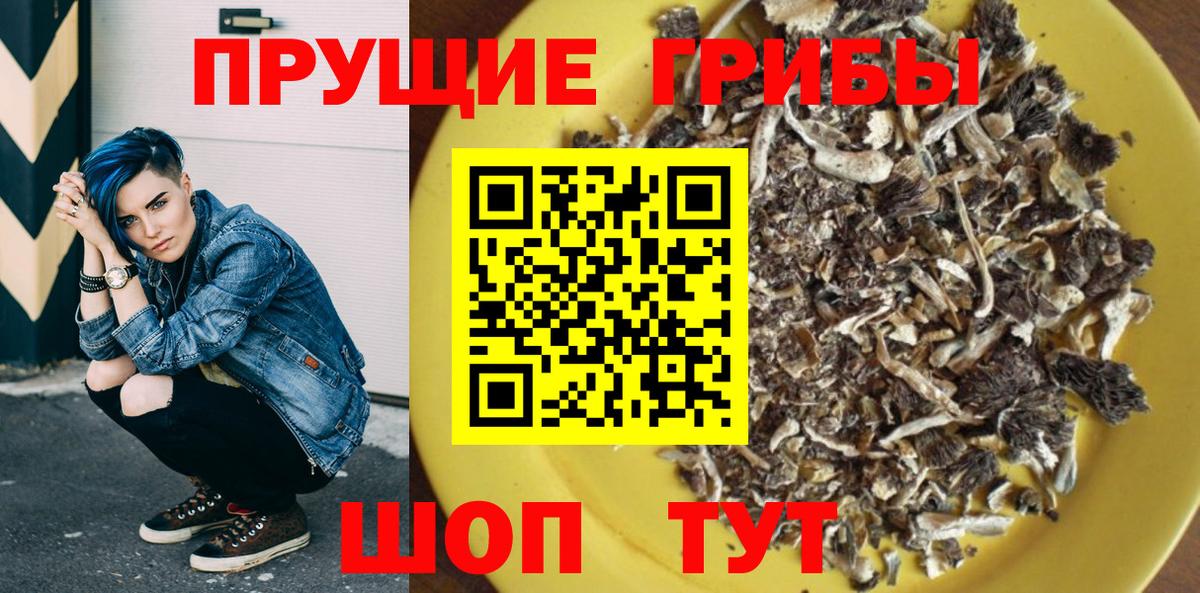Галлюциногенные грибы GOLDEN TEACHER Котлас